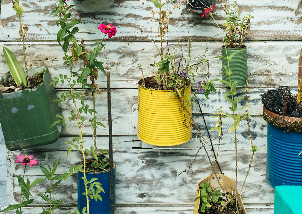 Blomster i brukte hermetikkbokser som henger på en vegg